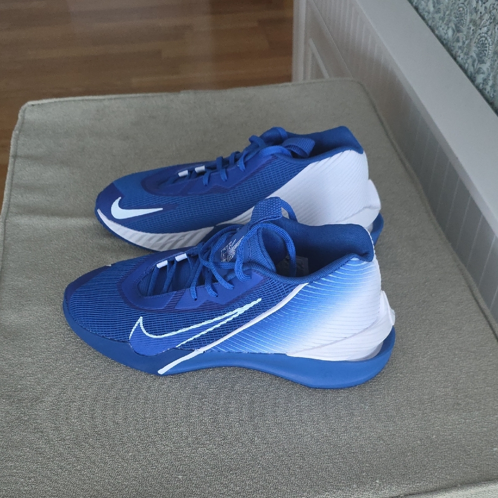 Nike Men's Athletic Shoes in Blue and White GT JUMP ACademy TB. BRAND NEW